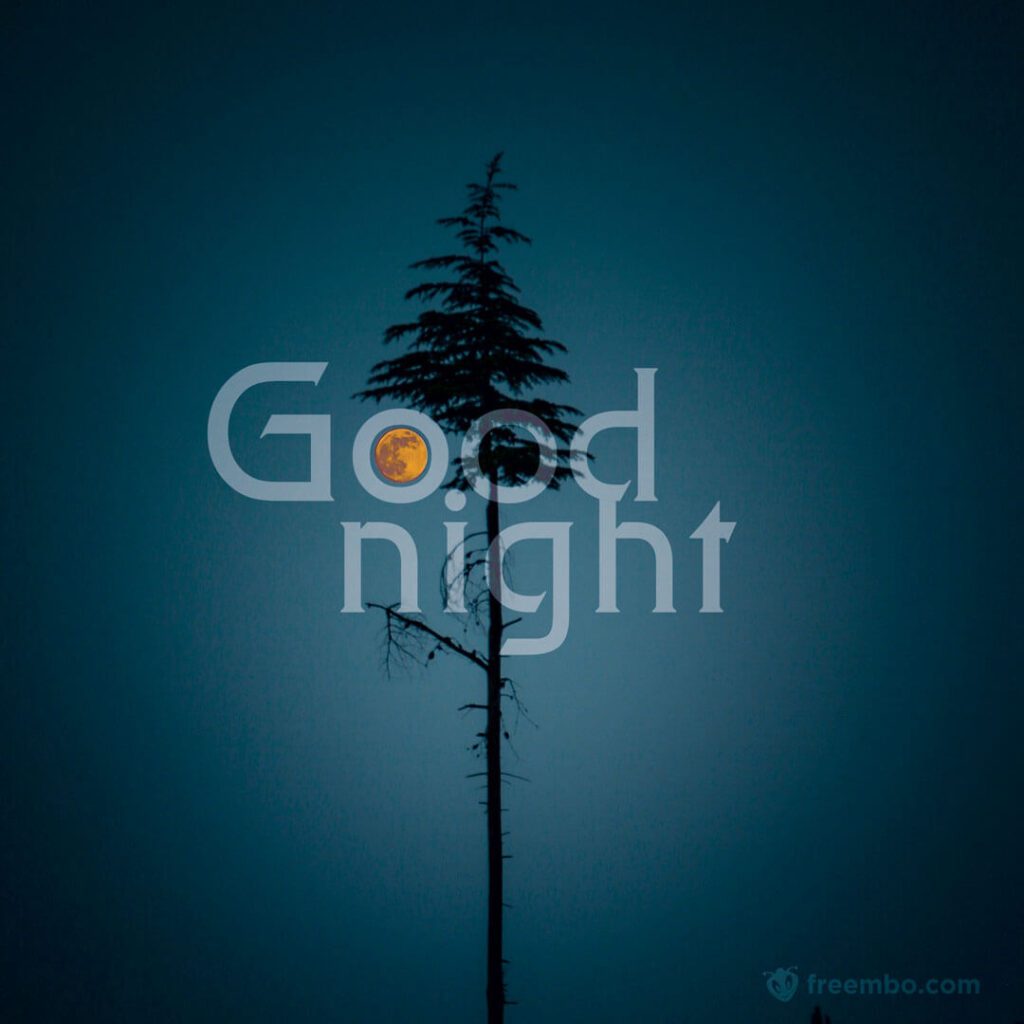 good night beautiful