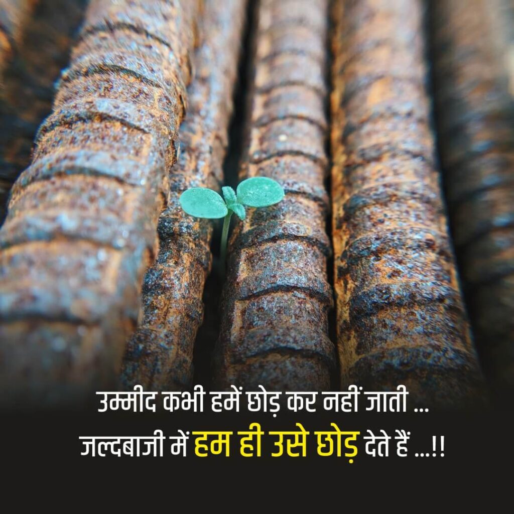Never Give Up Hindi Quote